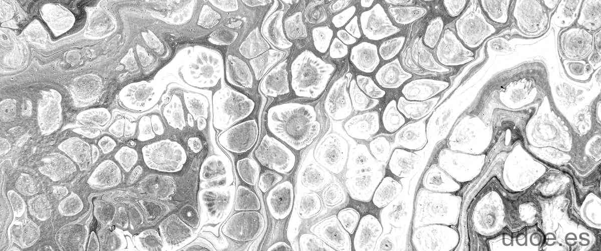 Cromatosoma y nucleosoma: la estructura del ADN en detalle - 3 - diciembre 17, 2023