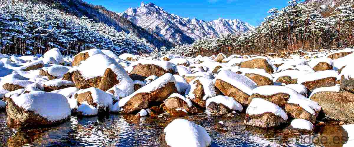 Masa de nieve que cae de la montaña: un peligro inminente - 3 - diciembre 24, 2023