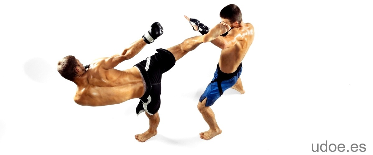 Taekwondo vs Muay Thai: El arte de la lucha oriental - 11 - diciembre 27, 2023