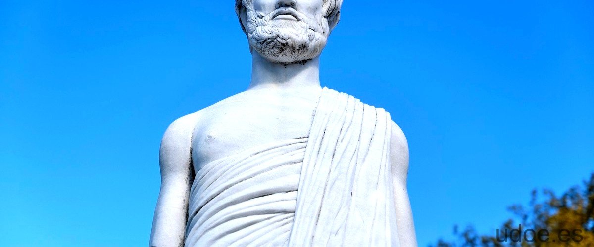 ¿Qué opina Aristóteles sobre el ser humano?