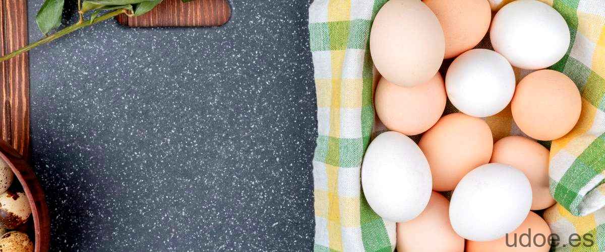 Cuanto hierro tiene el huevo: un alimento rico en minerales - 3 - diciembre 29, 2023