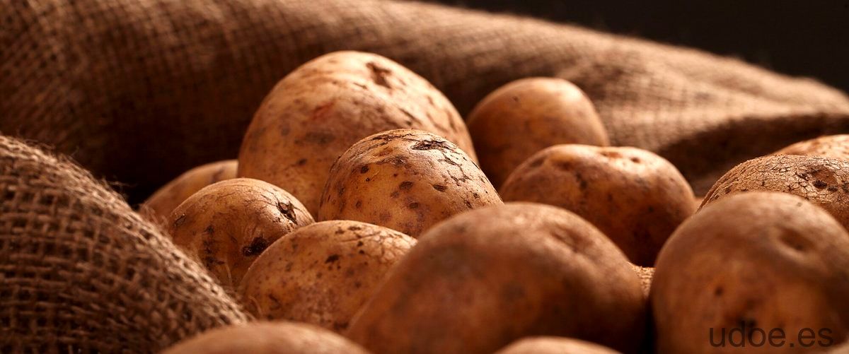La patata es antiinflamatoria: beneficios para la salud - 35 - diciembre 24, 2023