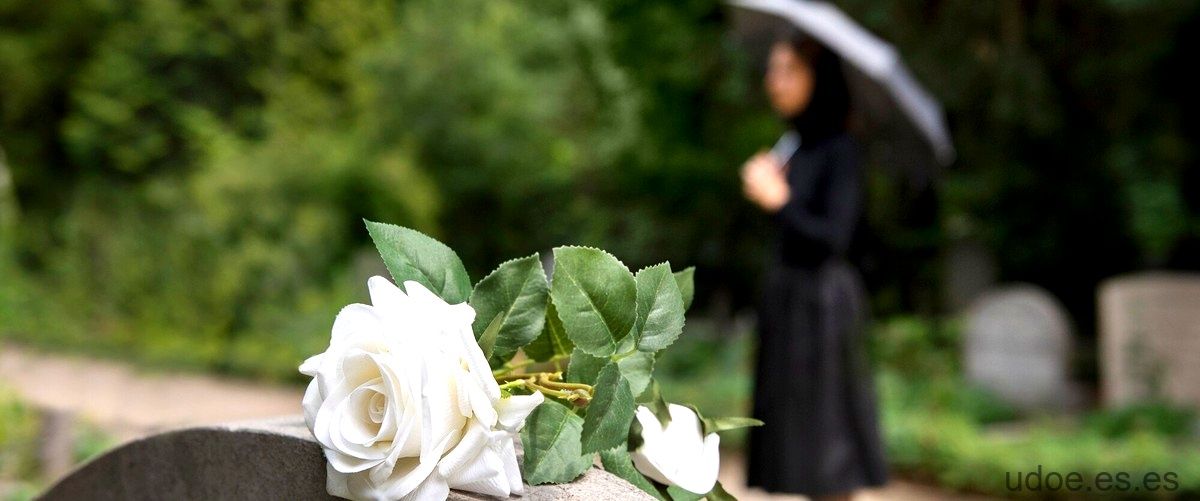 Es malo llevar flores del cementerio a la casa: supersticiones y creencias. - 9 - diciembre 29, 2023
