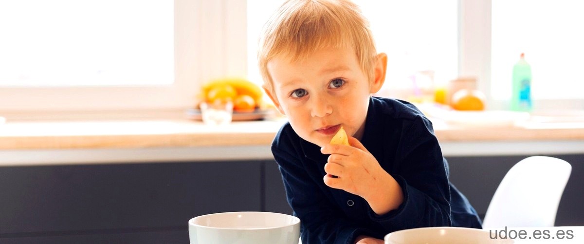 Cuánto puede estar un niño de 2 años sin comer: los límites de resistencia infantil. - 3 - diciembre 26, 2023