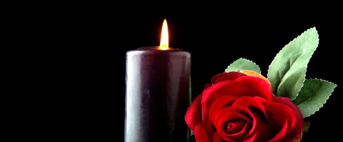 ¿Qué rosa simboliza la muerte?